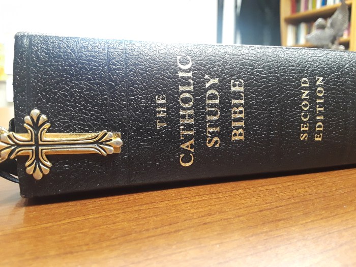 cathbible.jpg